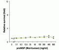 Recombinant human proNGF (cleavage resistant) protein