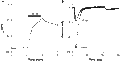 N-Me-aminopyrimidinone 9 – Figure 1 of 2