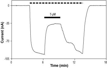 NBQX disodium salt – Figure 1 of 2