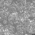 NCI-H520 cell