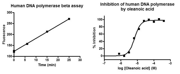Human DNA Polymerase Beta Assay Kit – Figure 1 of 1