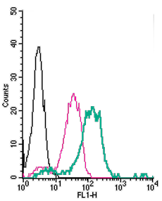 Anti-Nogo Receptor (extracellular)-FITC Antibody