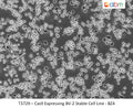 Cas9 Expressing BV-2 Stable Cell Line - BZ4 | Applied Biological Materials (abm)