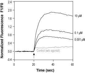 Olvanil – Figure 1 of 2