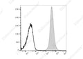 PE/Cyanine7 Anti-Rat CD45 Antibody[OX-1] – Figure 1 of 2