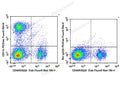 PE/Elab Fluor® 594 Anti-Mouse/Human CD11b Antibody[M1/70] – Figure 3 of 5