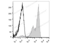 Elab Fluor® Violet 450 Anti-Mouse Ly-6G/Ly-6C (Gr-1) Antibody[RB6-8C5] – Figure 3 of 5