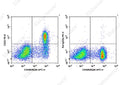 PE Anti-Mouse CD23 Antibody[B3B4] – Figure 1 of 2