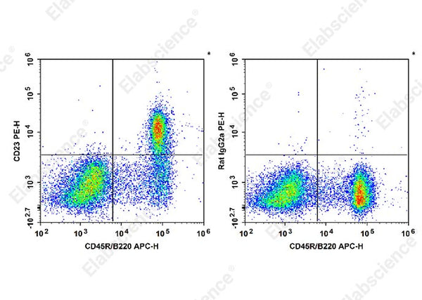 PE Anti-Mouse CD23 Antibody[B3B4] – Figure 1 of 2