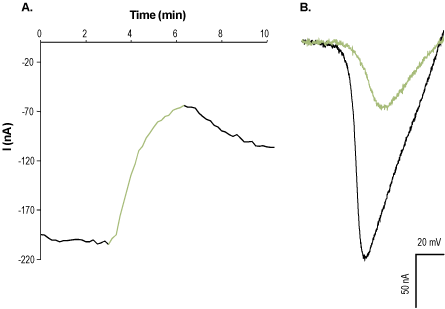 PD 173212 – Figure 1 of 2