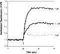 Palvanil – Figure 1 of 2