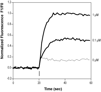 Palvanil – Figure 1 of 2