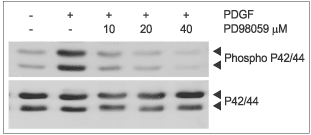 PD 98059 – Figure 1 of 2
