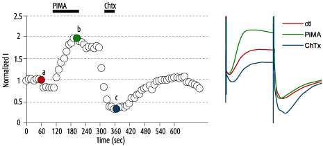 Pimaric Acid – Figure 1 of 3