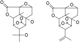 Picrotoxin – Figure 1 of 2