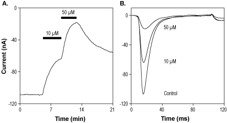 PF-05241328 – Figure 1 of 2