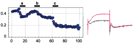 Paxilline – Figure 1 of 2