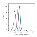 Anti-P2X7 Receptor (extracellular)-ATTO Fluor-488 Antibody