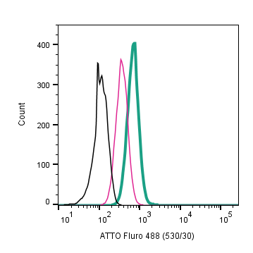 Anti-P2X7 Receptor (extracellular)-ATTO Fluor-488 Antibody