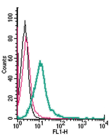 Anti-P2Y1 Receptor (extracellular)-FITC Antibody