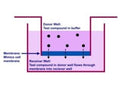 Parallel Artificial Membrane Permeability Assay (PAMPA) Kit