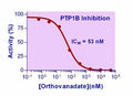 Phosphatase Inhibitor (Sodium Orthovanadate) – Figure 1 of 1