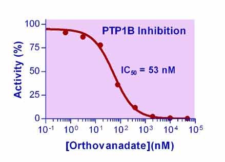 Phosphatase Inhibitor (Sodium Orthovanadate) – Figure 1 of 1