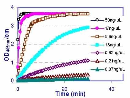 pNPP Phosphatase Assay Kit
