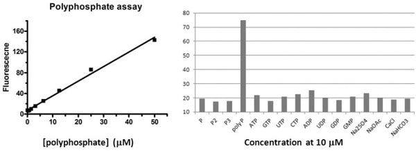 MicroMolar Polyphosphate Assay Kit – Figure 1 of 1