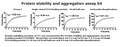 Protein Stability and Aggregation Assay Kit – Figure 1 of 1