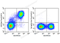 Elab Fluor® 647 Anti-Mouse CD5 Antibody[53-7.3] – Figure 3 of 5