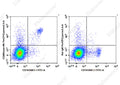 PerCP/Cyanine5.5 Anti-Mouse CD49b/pan-NK cells Antibody[DX5] – Figure 1 of 2