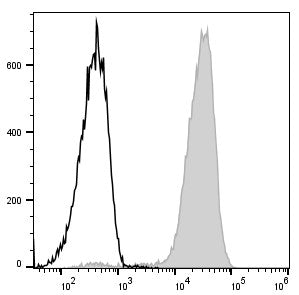 PerCP/Cyanine5.5 Anti-Mouse/Human CD11b Antibody[M1/70] – Figure 1 of 2