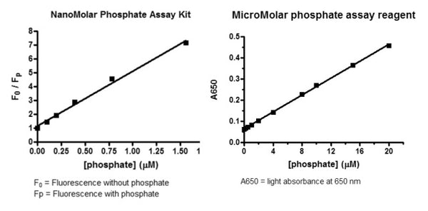 NanoMolar Phosphate Assay Kit – Figure 1 of 1