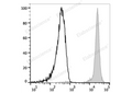 Elab Fluor® Red 780 Anti-Human CD45 Antibody[HI30] – Figure 3 of 5