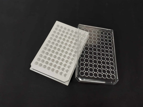 96 well plates Poly-L-lysine coated – Image 1