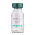 GZMB Human – Figure 1 of 1