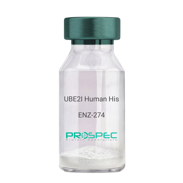 UBE2I Human His – Figure 1 of 1