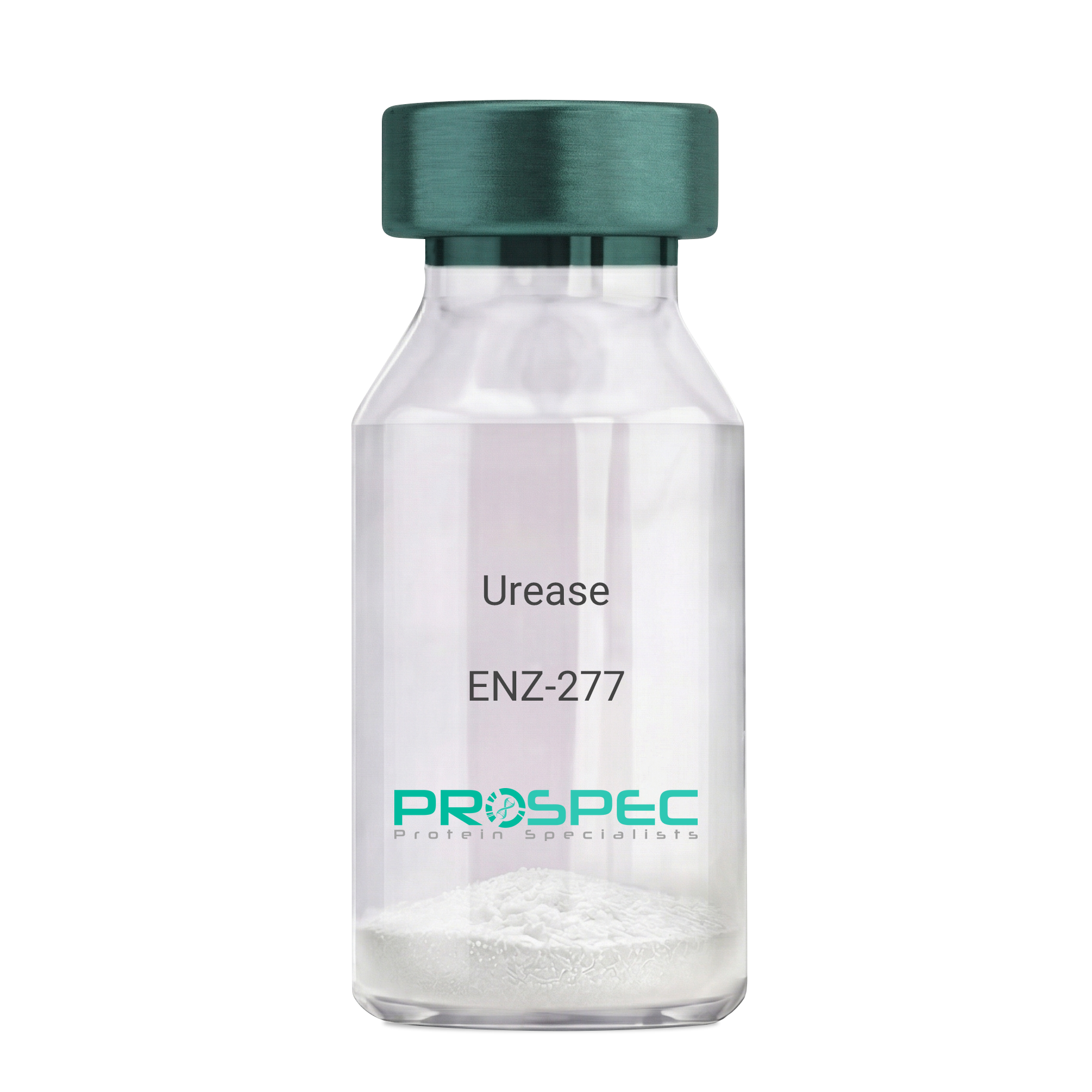 Urease Human – BioHippo