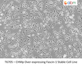 CHMp Over-expressing Fascin-1 Stable Cell Line | Applied Biological Materials (abm)