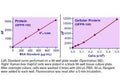 QuantiFluo™ Protein Assay Kit