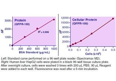QuantiFluo™ Protein Assay Kit