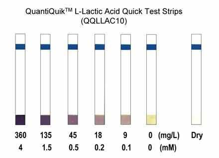 QuantiQuik™ L-Lactic Acid Quick Test Strips – BioHippo