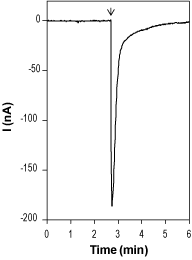 RJR 2403 oxalate – Figure 1 of 2