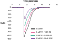 Ricasetron – Figure 1 of 2