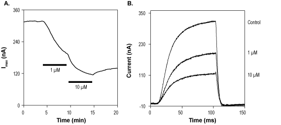 RY796 – Figure 1 of 2