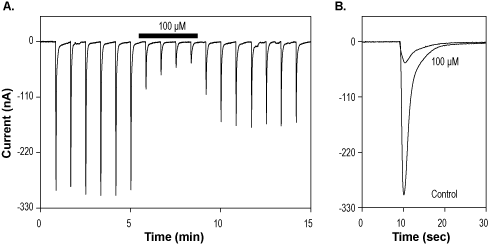 Ro 25-6981 maleate – Figure 1 of 2
