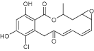 Radicicol – Figure 1 of 2