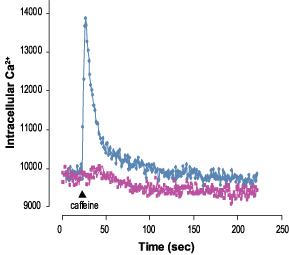 Ryanodine – Figure 1 of 2