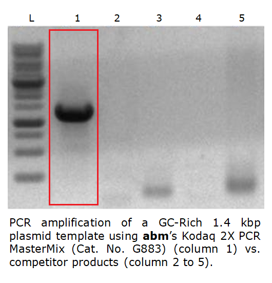 Kodaq 2X PCR MasterMix